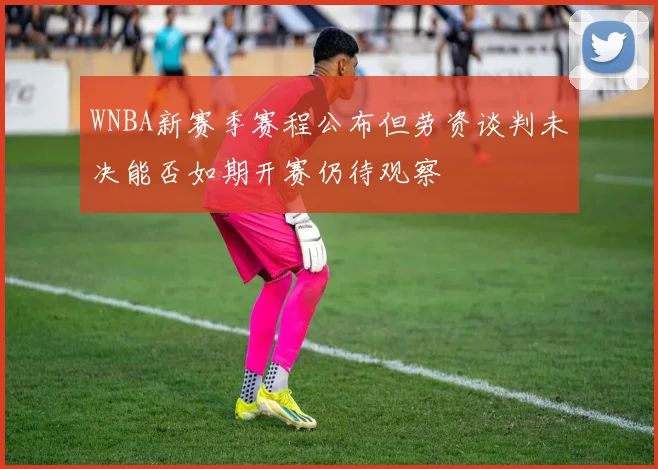 WNBA新赛季赛程公布但劳资谈判未决能否如期开赛仍待观察