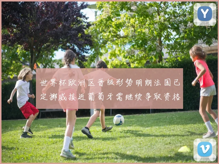 世界杯欧洲区晋级形势明朗法国已定挪威接近葡萄牙需继续争取资格