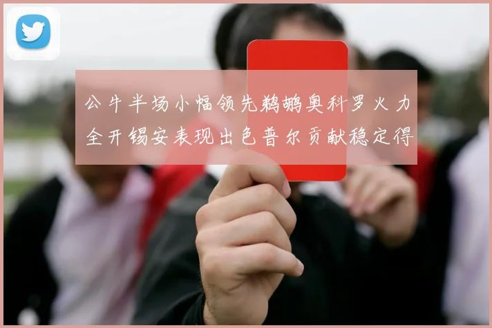 公牛半场小幅领先鹈鹕奥科罗火力全开锡安表现出色普尔贡献稳定得分